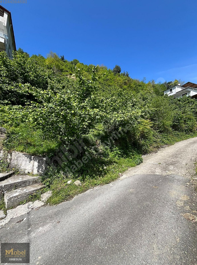 HİSARÜSTÜ KÖY MERKEZİ YOLU CEPHELİ BAHÇE